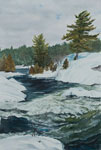 click to see debbie homewood's winter pictures
