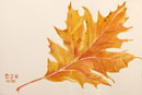 watercolor Leaf #2